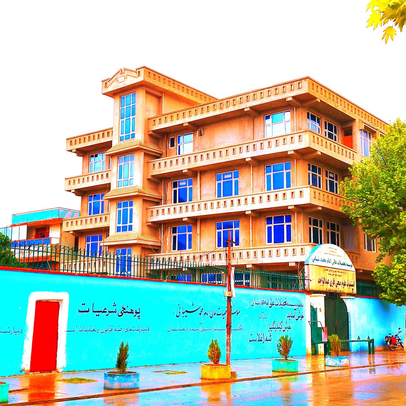 نقش اجتماعی